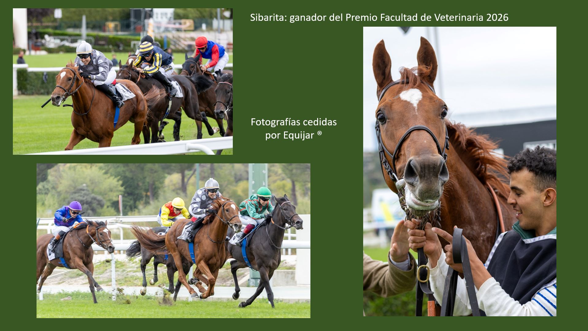 Nueva edición del Premio Facultad de Veterinaria en el Hipódromo de Madrid